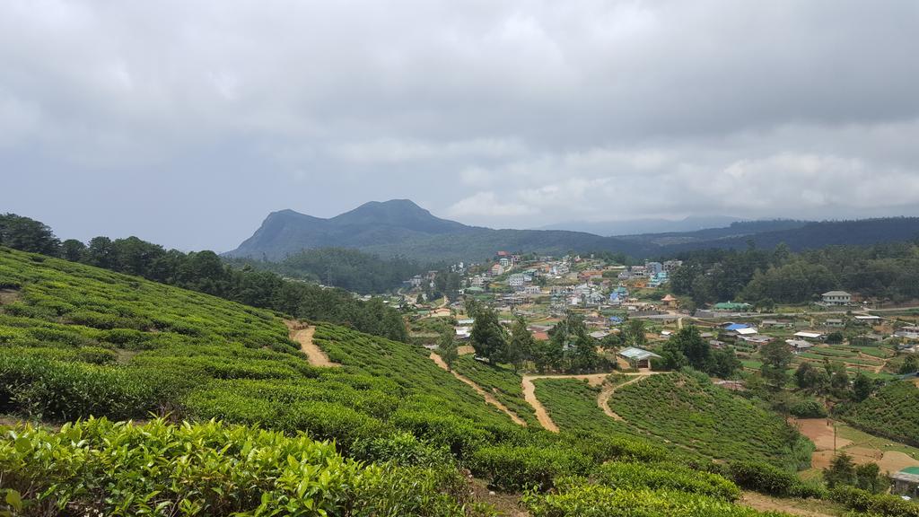 Hotel Eranga Guest Nuwara Eliya Zewnętrze zdjęcie